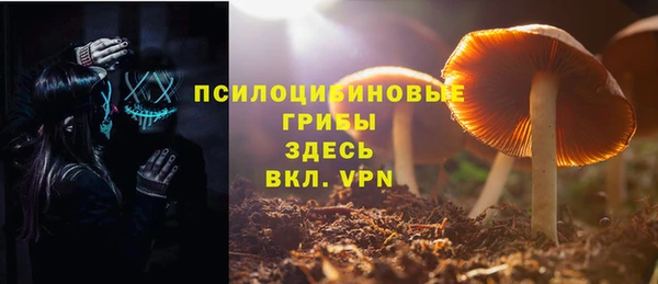 марки lsd Гусев