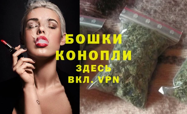 ПСИЛОЦИБИНОВЫЕ ГРИБЫ Гусь-Хрустальный
